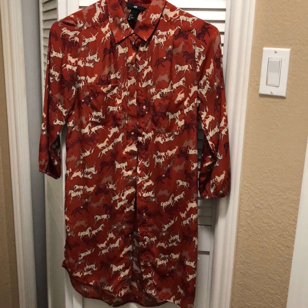 Ladies collared shirt dress